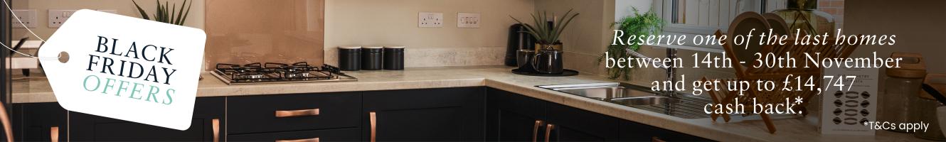 Black friday - osprey