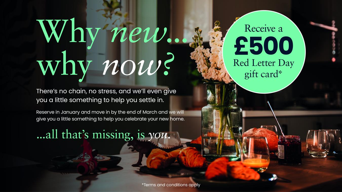 Boxing Day campaign Header