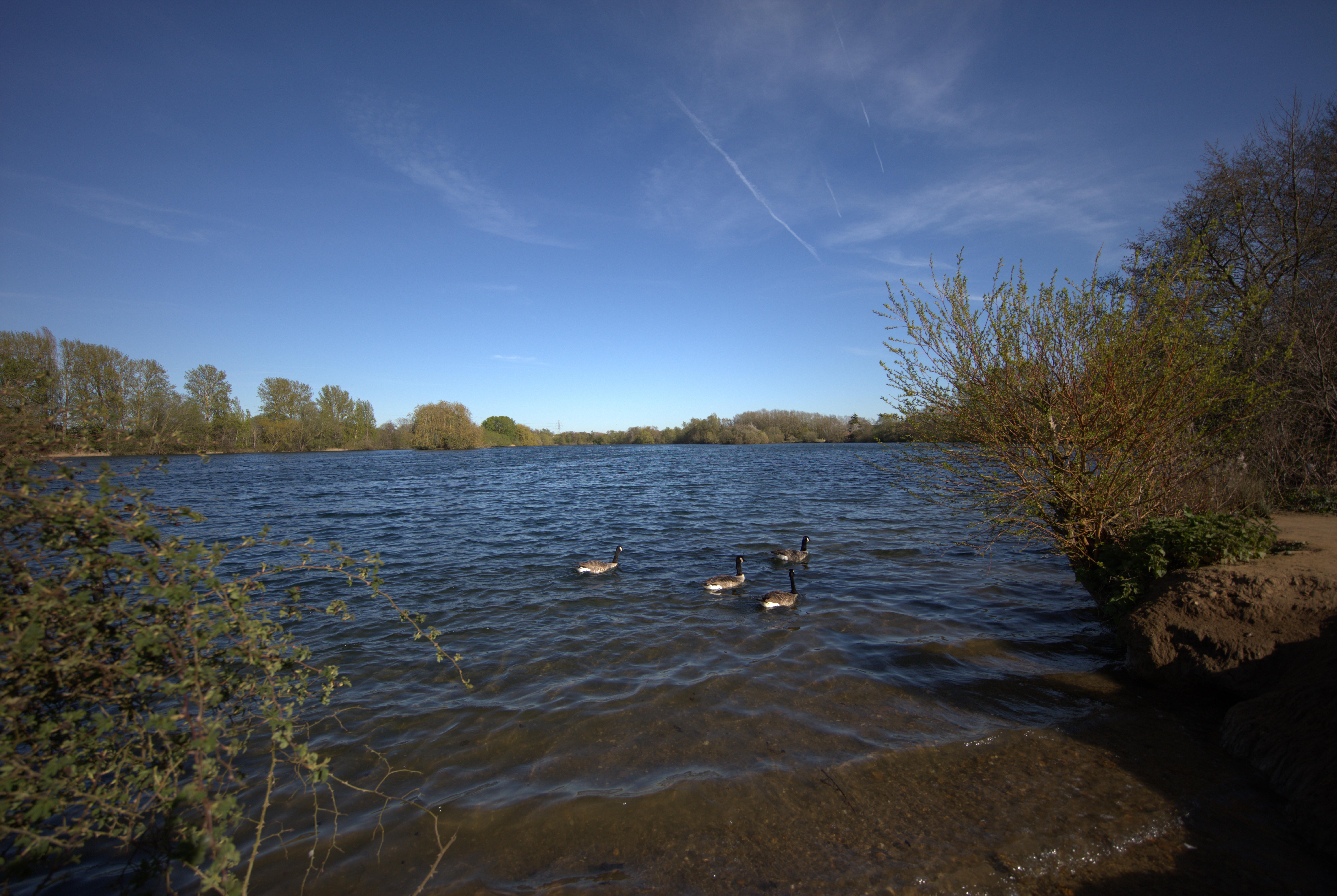 Delapre local area 5