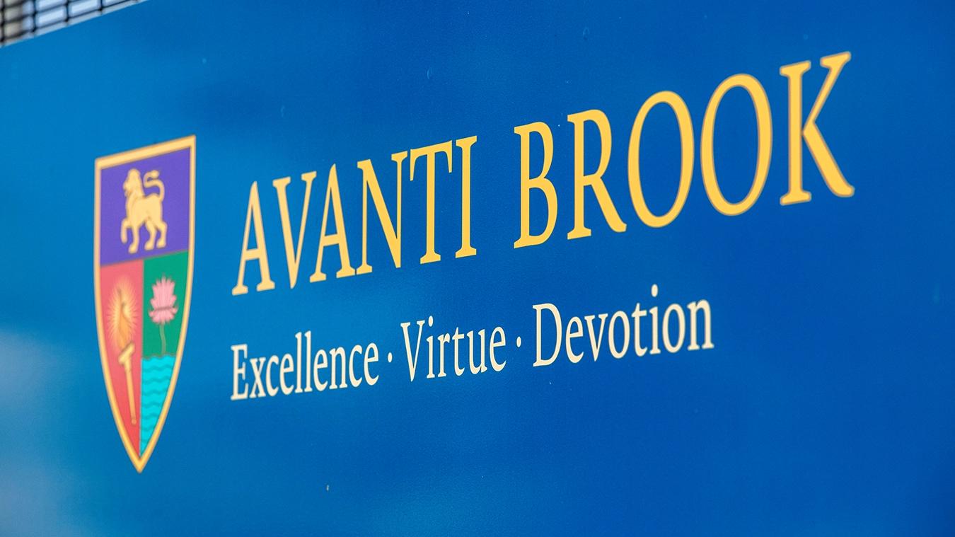 Avanti brook