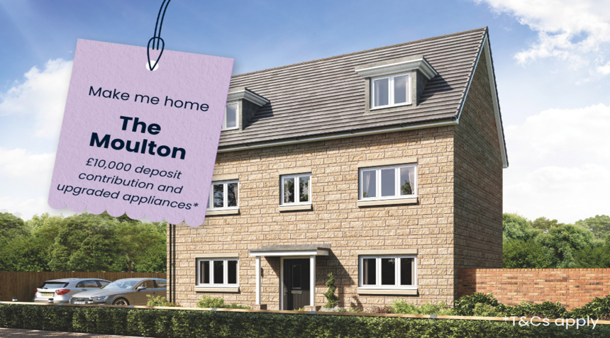 Forest 165 stock campaign CGI