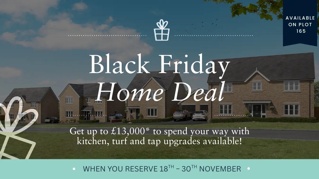 Black Friday Forest Edge Plot 165