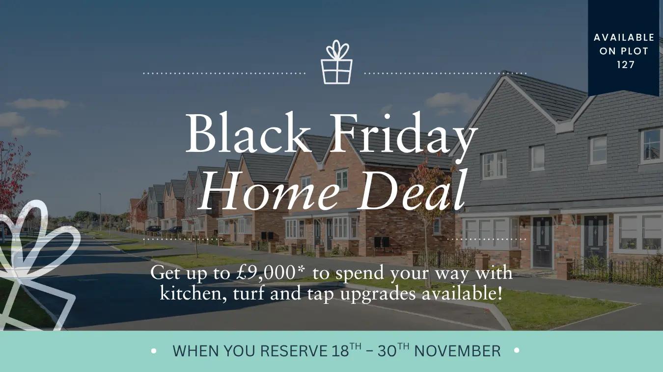 Black Friday Landimore Park Plot 127