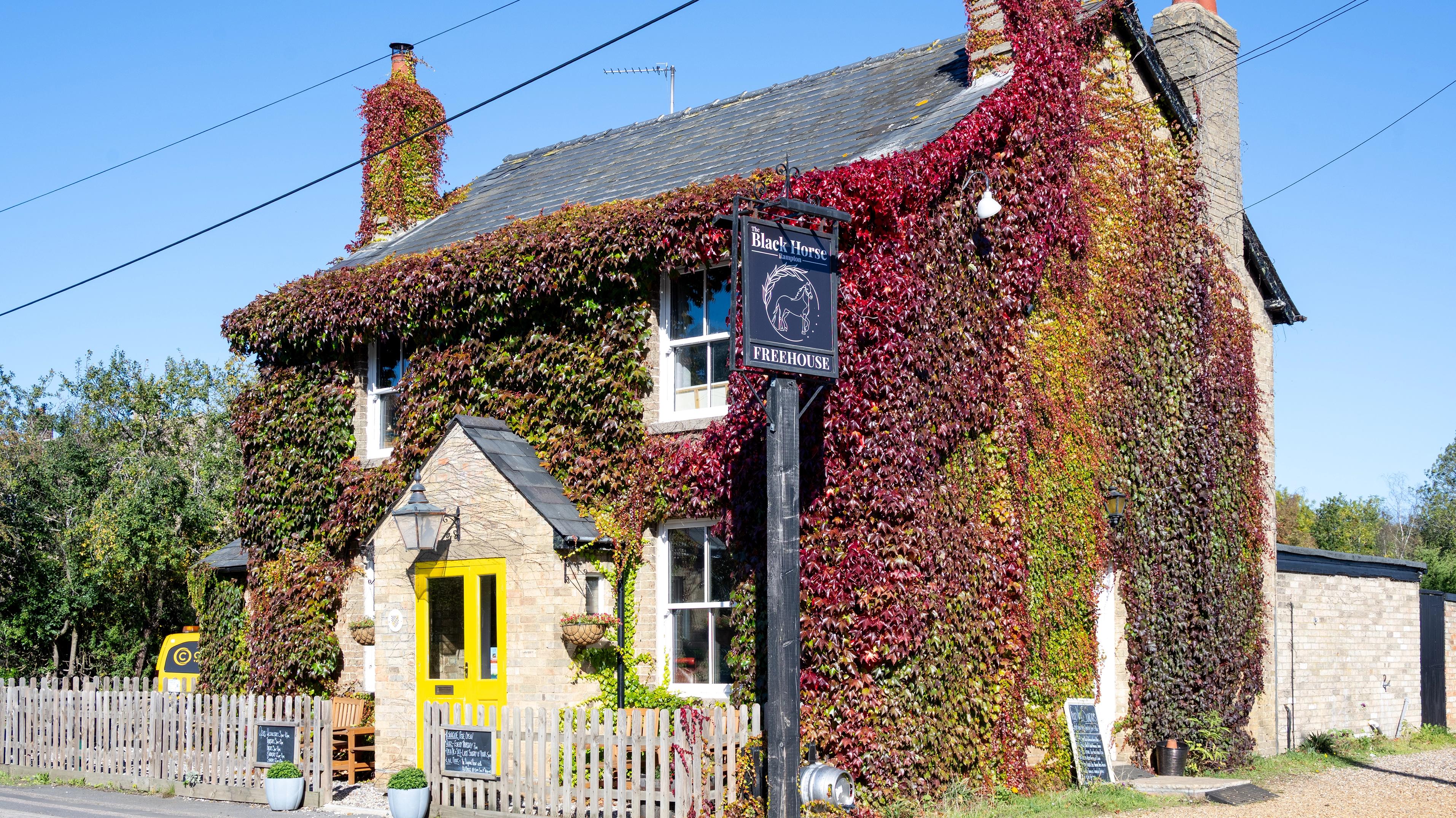 kings park - local-pub