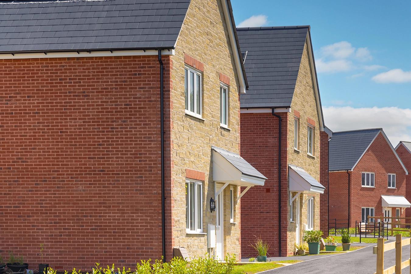 Alriston Close Ups