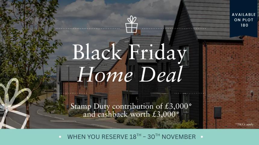 Black Friday The Avenue Plot 180