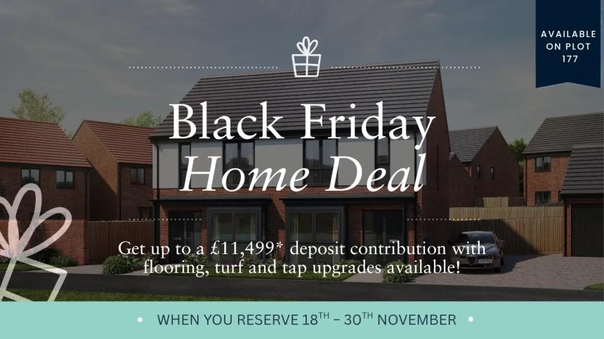 Black Friday The Paddocks Plot 177