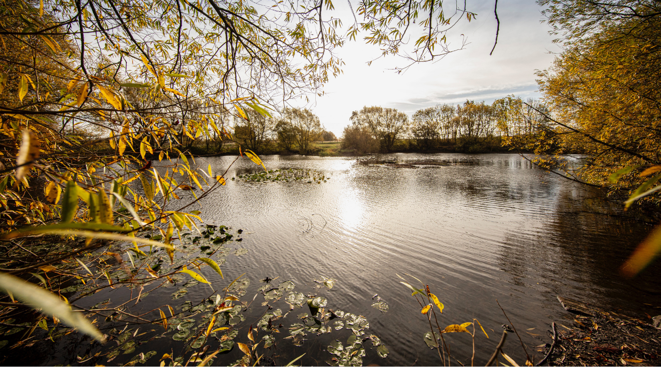 The Greens Lakes and Ponds