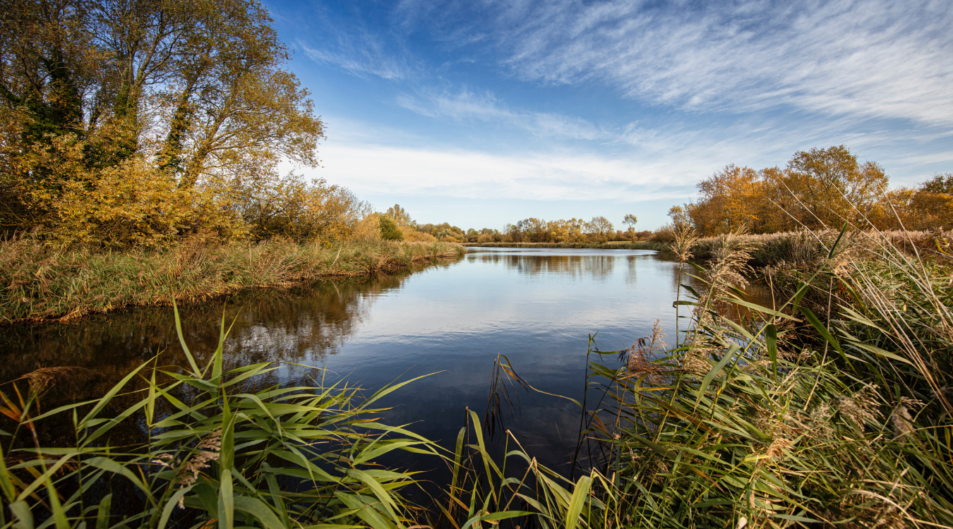 The Greens Coventry Canal