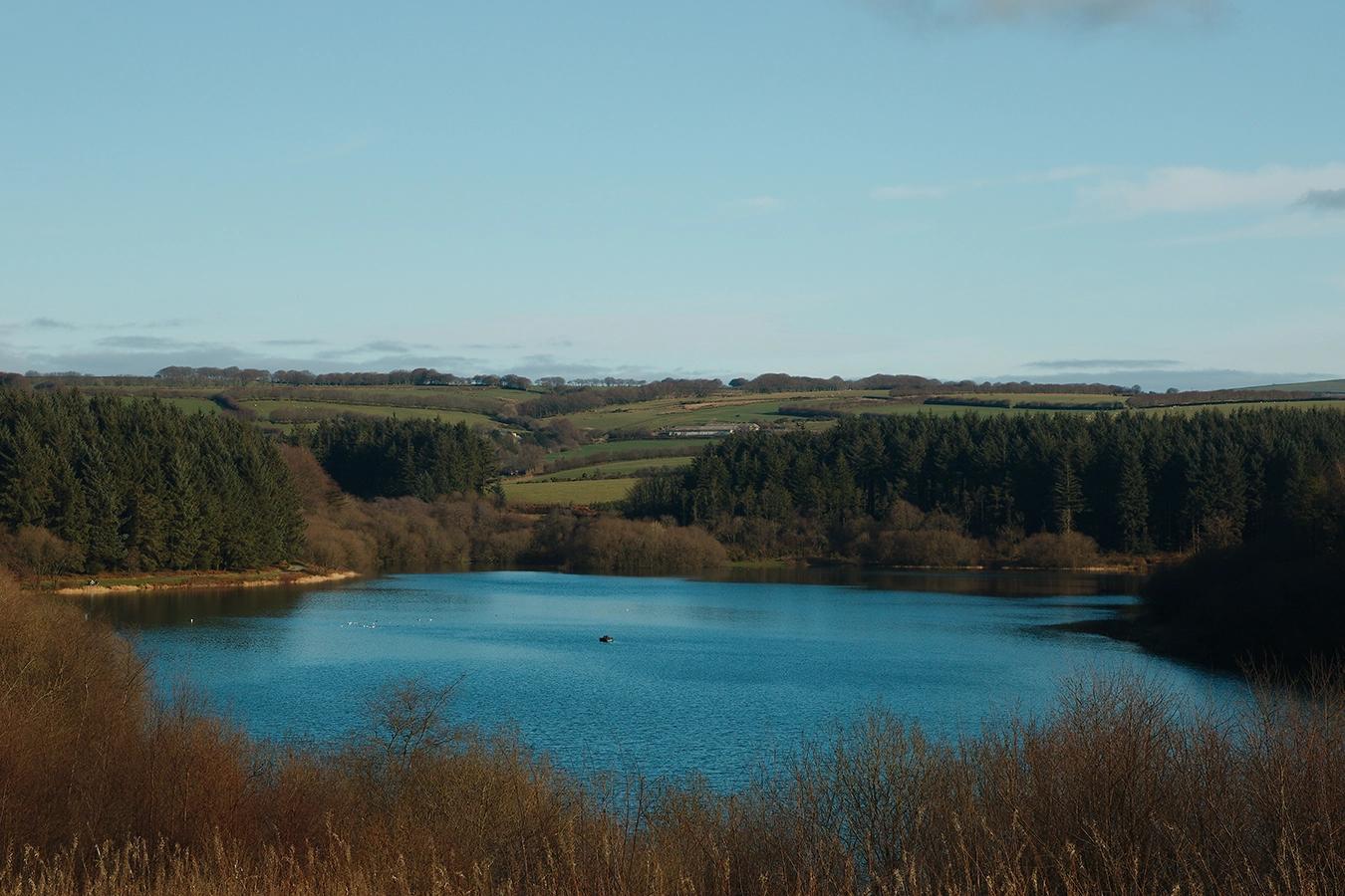 Wistlandpound Lake Stock Image